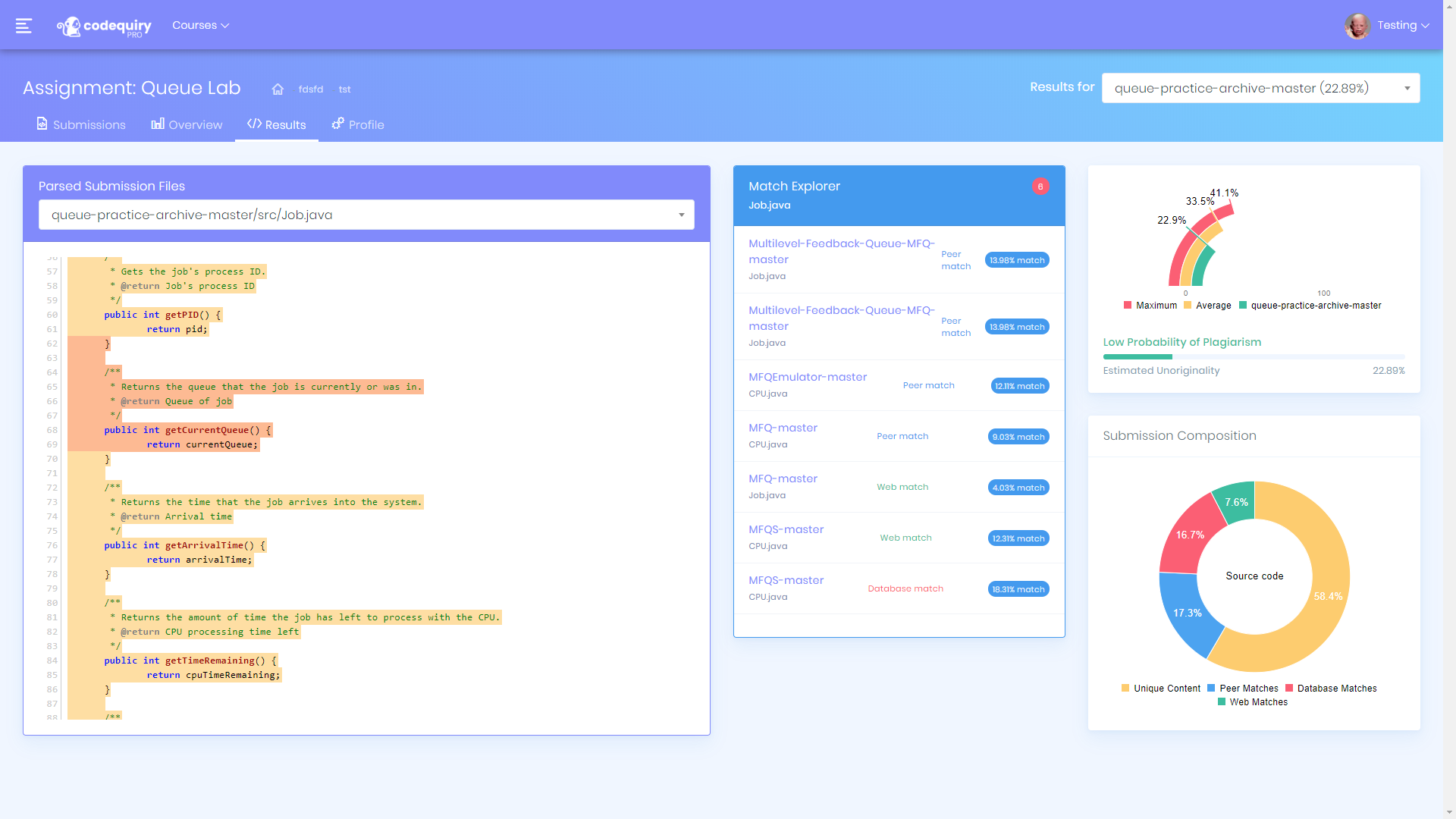 Codequiry results and evidence view